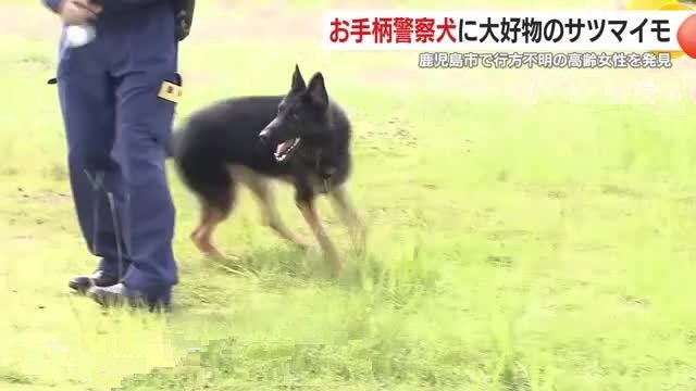 鋭い嗅覚でわずか13分で発見した