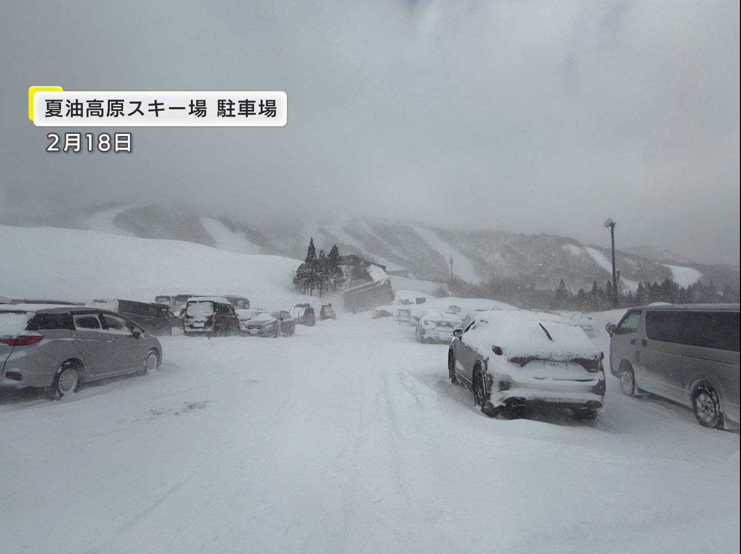 雪崩 速報】スキー場雪崩が発生か アメリカ人男性１人が雪に埋もれる 呼吸をしていない状態という情報 立ち入り禁止されているエリア  岩手・北上市(放送局のニュース ) - 日本気象協会 tenki.jp
