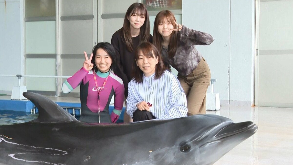 ドルフィンライブ　露出 イルカショー新人女性トレーナーの初舞台に密着 デビューまでの3年間を支えたのは“家族の存在”【宮崎発】｜FNNプライムオンライン