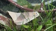 公園に大量の”旧一万円札”ばらまかれる「切り刻まれた紙幣」発見_警察が本物かどうかも含め詳しい状況を調べる_いったい誰が、何のために？〈北海道稚内市〉