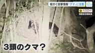 広島市佐伯区で親子クマ３頭？「冬眠あけはエサを求めて活動する時期」 広島県内でクマの目撃情報相次ぐ