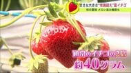 メロン並み糖度＆大きな実… 常識超えの北海道産・夏イチゴに注目【北海道発】