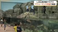 シロイルカやアザラシのパフォーマンス「手話」で解説「アクアス」で初「誰もが楽しめる水族館」へ（島根）