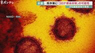 ２つの既存薬　新型コロナ感染抑制に有効か　京大iPS細胞研究所…