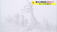 蔵王の樹氷 今年は順調に成長 積雪も十分 山形