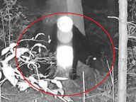 岐阜でも高校生襲われケガ…クマに詳しい専門家「山の状況はどんどん良く」個体数増で行動エリア拡大と指摘