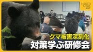 【クマ】過去最多出没で被害も深刻化…クマの生態・性質知り遭遇回避を「痕跡見かけたら近づかない」 グリーンシーズンに向け対策学ぶ研修会