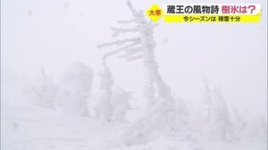 蔵王の樹氷 今年は順調に成長 積雪も十分 山形