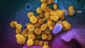 部活クラスター発生の高知中央高校 新たに男子生徒2人がコロナ感染【高知】