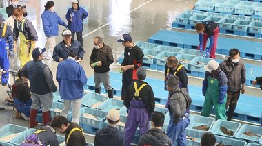 9年ぶりのセリ…原発事故の避難区域が残る漁師町の復興に向けた一歩【福島発】