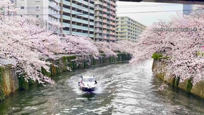 週末にかけ列島各地で桜満開ラッシュへ　都内定番スポットには多くの人…ホテル庭園など“人混み無し”穴場も