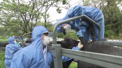獣医師は売り手市場！？「動物のお医者さん」だけではない県職員の仕事　食卓に直結する人手不足の危機【福島発】