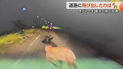 【独自】熊本・益城町の国道でシカとあわや衝突　遭遇したドライバーは「50年近く住んでいるが初めて」