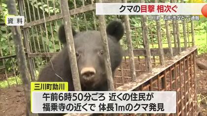 「雪が降ってもクマ出没のおそれあり」　三川町・山形市・鶴岡市でクマ目撃情報　山形