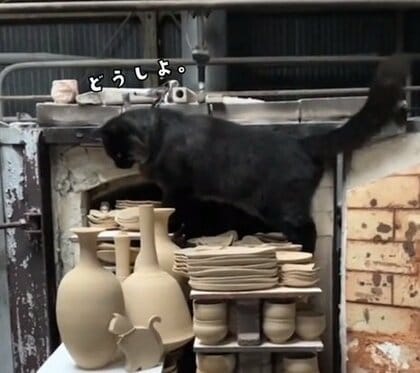 「割られるかと思ってヒヤヒヤ」陶芸家と暮らす猫が作品に囲まれ大ピンチ…“華麗な身のこなし”にびっくり！