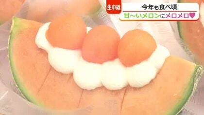 メロンのスイーツが大集合！　福井駅前ハピテラスで「メロンまつり」　13店舗が自慢のスイーツを提供　21日まで