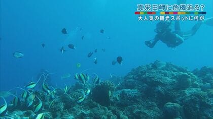 人気観光スポットでサンゴ礁劣化や交通渋滞…「オーバーツーリズム」解決へ入域制限の実証実験開始【沖縄発】