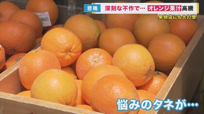 オレンジ危機』オレンジジュース「バヤリース」など販売休止に 原産国