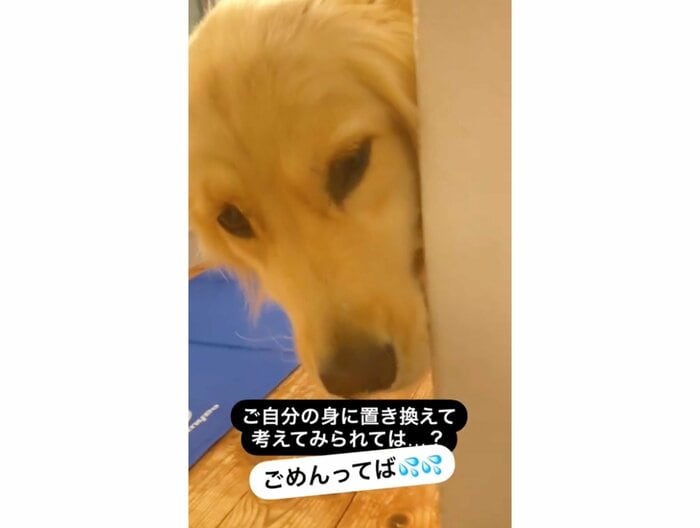 提供:エマさん