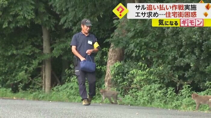 サルにエサを投げて、住宅地への侵入を防ぐ