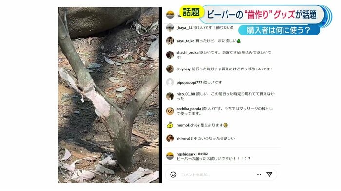 インスタグラム コメント欄より