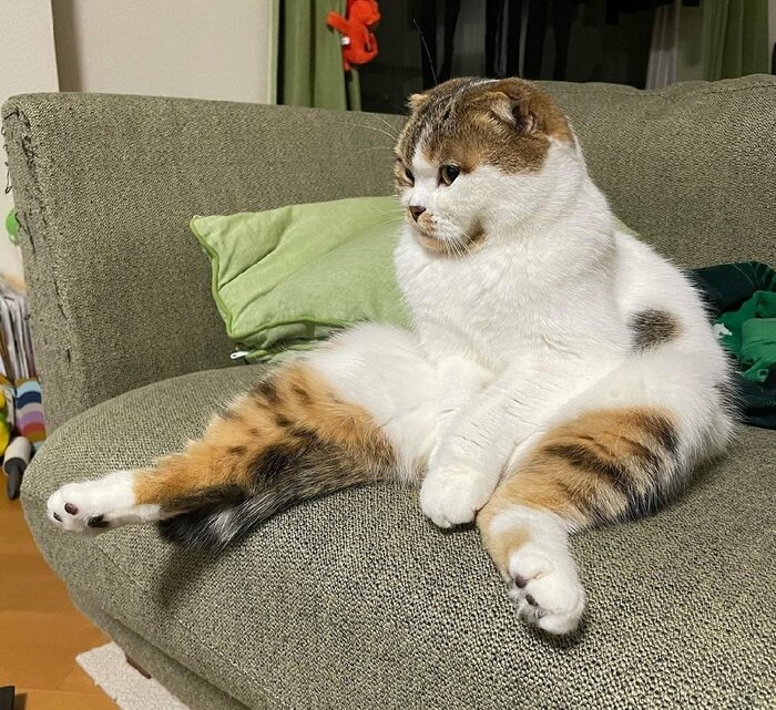 ソファ上の様子
