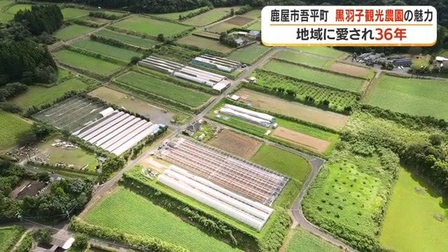 黒羽子観光農園