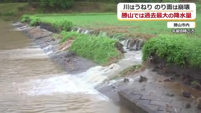 収穫前の田んぼからあふれ出した水（勝山市30日午前8時頃撮影）