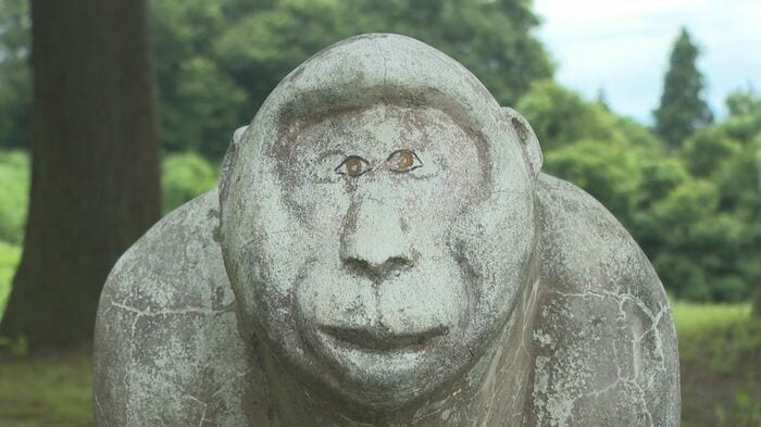 表情は…