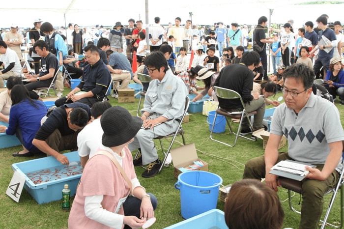 九州金魚すくい選手権大会の様子 提供:熊本県長洲町役場