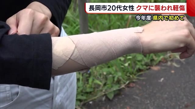 女性がクマに襲われ負傷 今年も“エサ不足”懸念…柿や栗は“早めに収穫”を【新潟・長岡市】