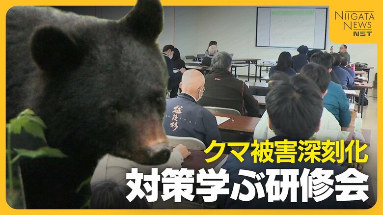 【クマ】過去最多出没で被害も深刻化…クマの生態・性質知り遭遇回避を「痕跡見かけたら近づかない」 グリーンシーズンに向け対策学ぶ研修会｜FNNプライムオンライン