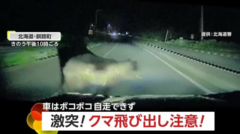 激突！クマ飛び出し注意！20代女性が運転する車はボンネットが波打つように大破し自走不可能に　北海道・釧路町｜FNNプライムオンライン