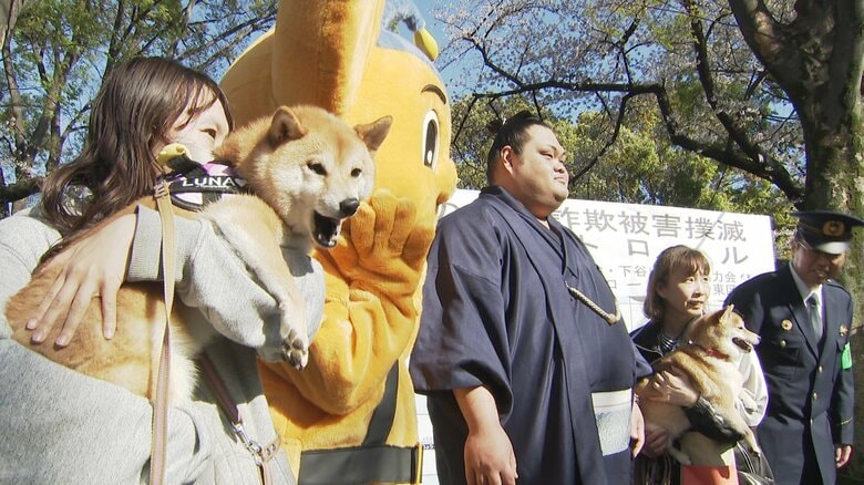大相撲・一意関が「わんわんパトロール隊」と一緒に防犯パトロール　特殊詐欺撲滅を呼びかけ｜FNNプライムオンライン