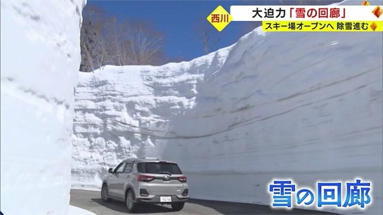 「雪の回廊」出現 スキー場オープンに向けて除雪急ピッチ【山形発】｜FNNプライムオンライン