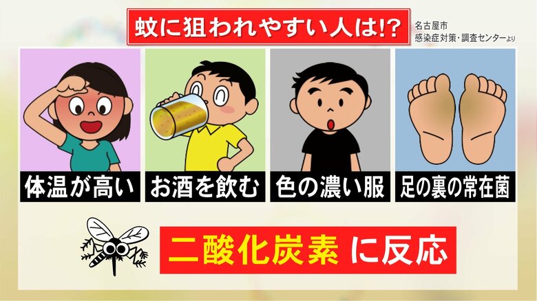 “体温が高い”など特徴が…『蚊に狙われやすいタイプ』はどんな人？足の裏を朝アルコール消毒するのも効果的｜FNNプライムオンライン
