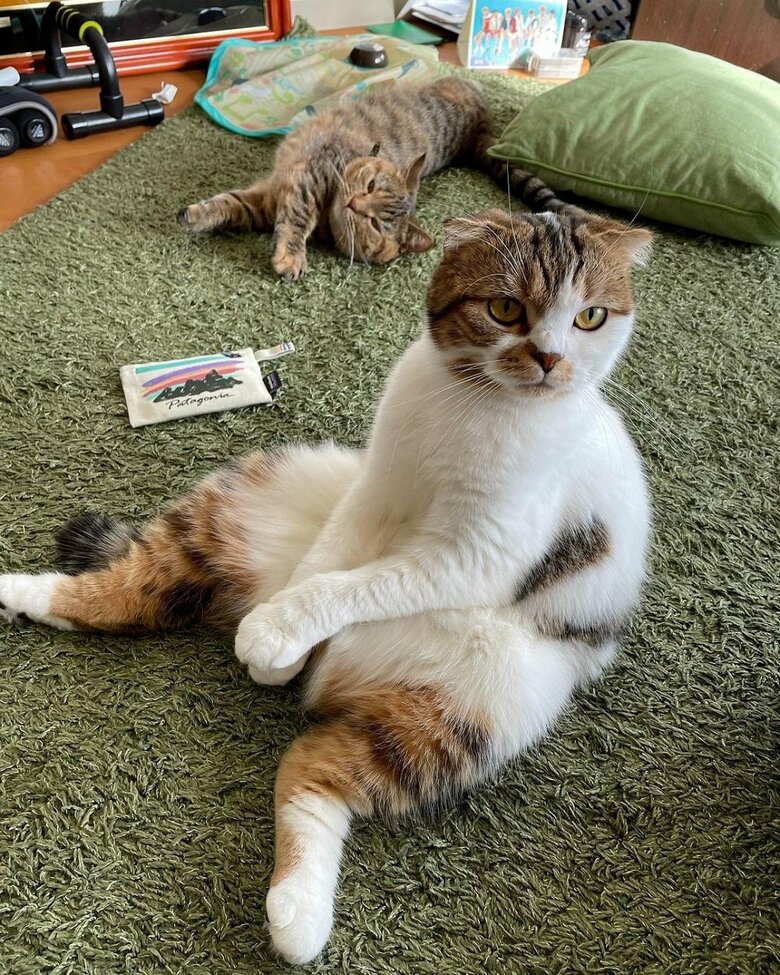 かわいらしい顔から…