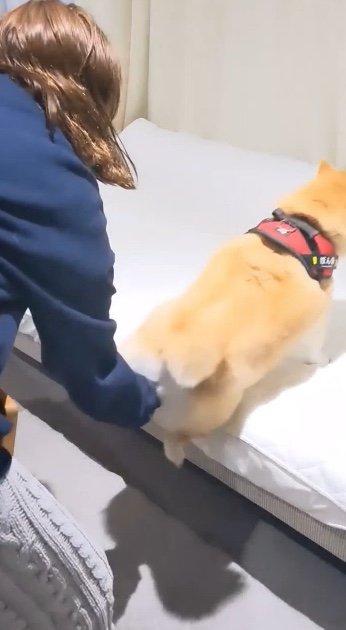 提供：natsumi.nnnさん