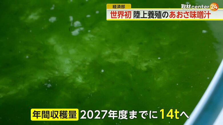 2027年度までに、あおさの年間収穫量を14トンまで増やしたいとしている