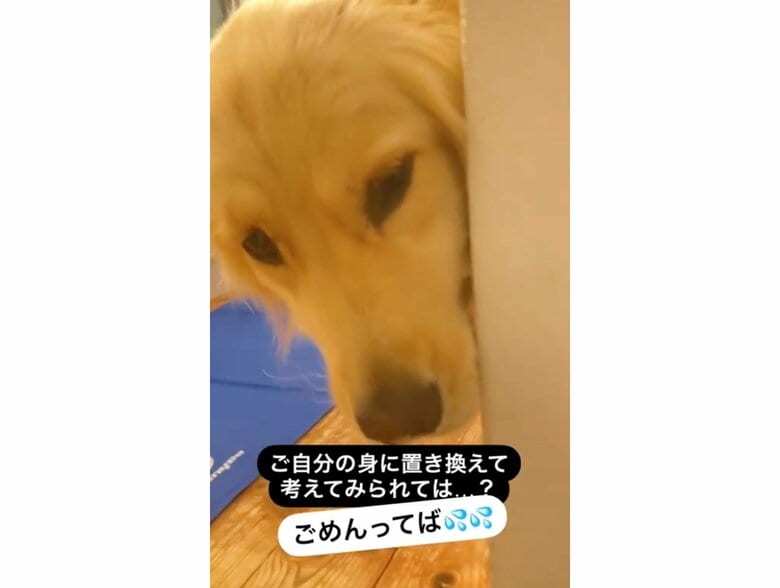 提供：エマさん