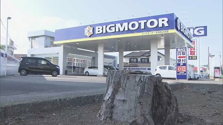 ビッグモーターの店舗前だけ不自然に街路樹が枯れる事例が相次いでいる