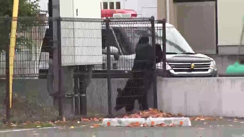 原敬記念館の敷地内に出没し捕獲されたクマ