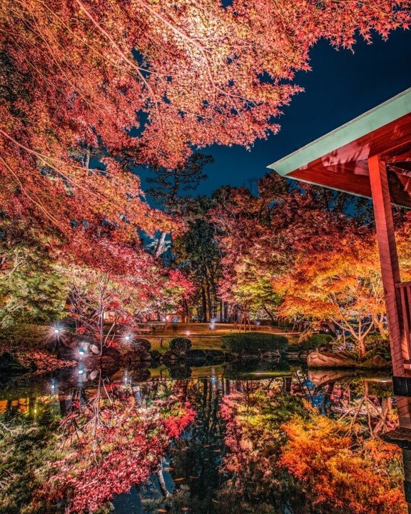 紅葉の大田黒公園