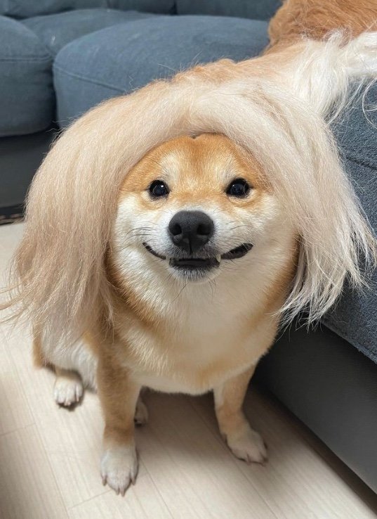 提供：うにandおからさん