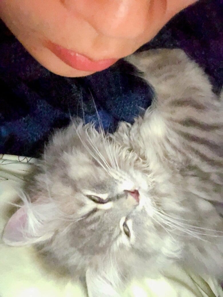 旦那さんにはこの顔