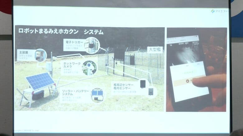 離れた場所からおりの様子を確認