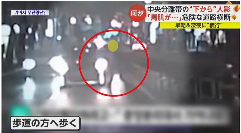 様子を見たあと立ち上がり、歩道の方へ歩いて行った