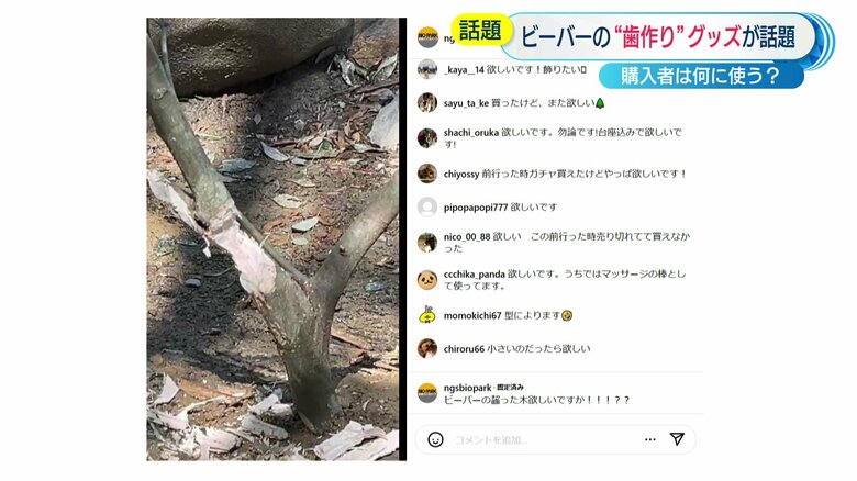 インスタグラム　コメント欄より
