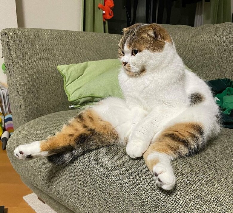 ソファ上の様子