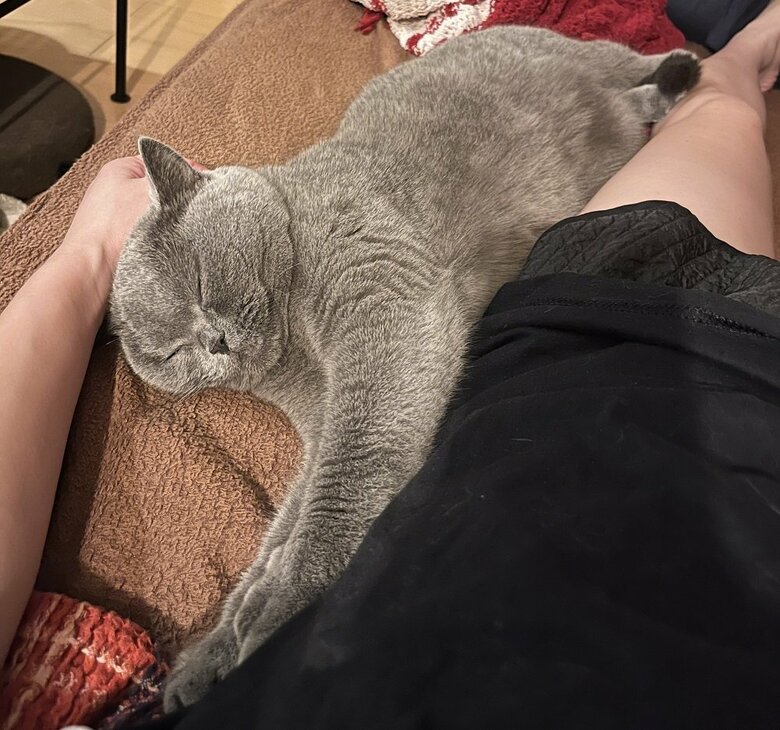 ピッタリくっついて寝たい